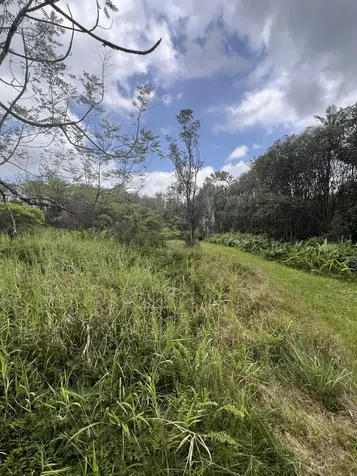 Kolea Street Mountain View HI 96771