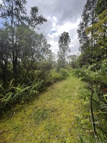 Kolea Street Mountain View HI 96771