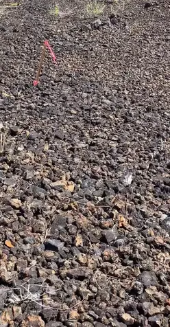 88-1546 Eha Place Captain Cook HI 96704