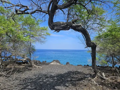 88-1546 Eha Place Captain Cook HI 96704