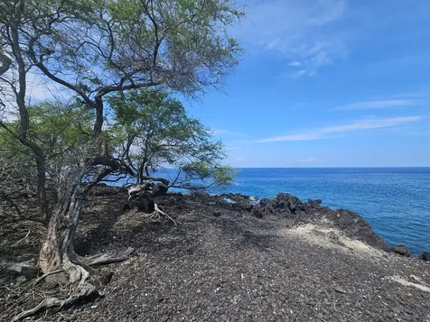 88-1546 Eha Place Captain Cook HI 96704