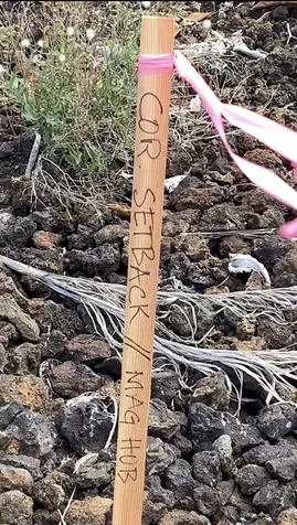 88-1546 Eha Place Captain Cook HI 96704