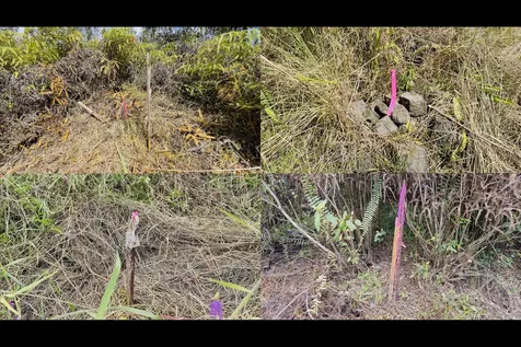 16-570 Wao Kele Road Kurtistown HI 96760