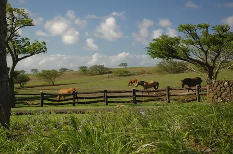 56-101 Pualani Road Hawi HI 96719