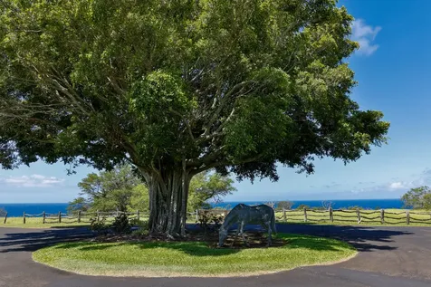 56-101 Pualani Road Hawi HI 96719