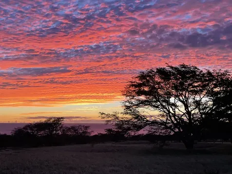 56-101 Pualani Road Hawi HI 96719