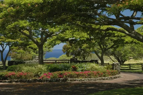 56-101 Pualani Road Hawi HI 96719