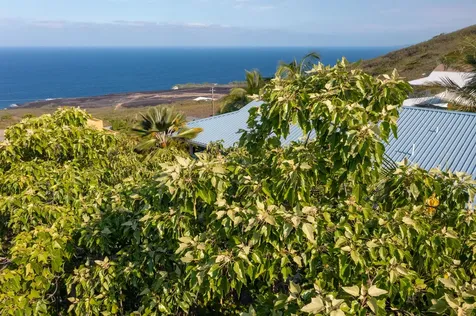 Guava Road Captain Cook HI 96704