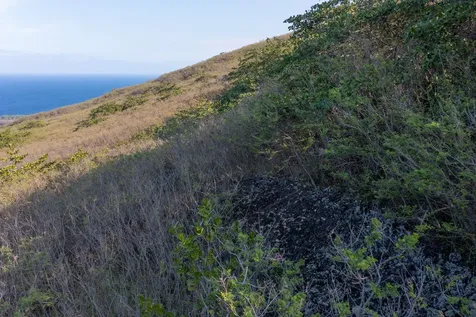 Guava Road Captain Cook HI 96704