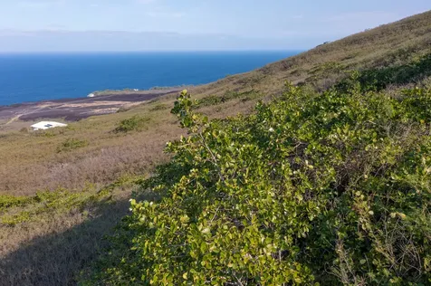 Guava Road Captain Cook HI 96704