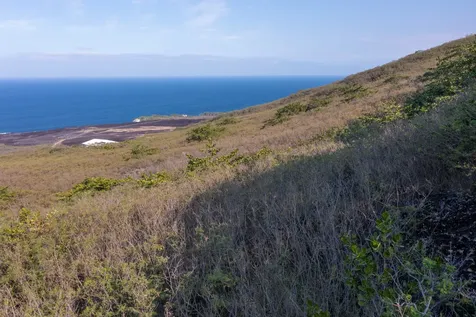 Guava Road Captain Cook HI 96704