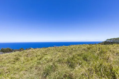 36-239 Manowaiopae Homestead Road Laupahoehoe HI 96764