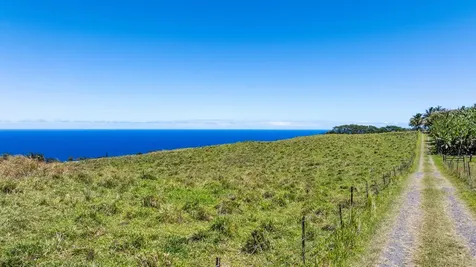 36-239 Manowaiopae Homestead Road Laupahoehoe HI 96764