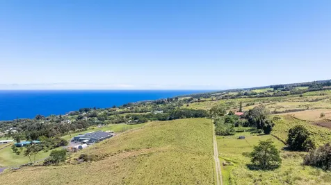 36-239 Manowaiopae Homestead Road Laupahoehoe HI 96764