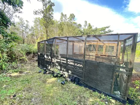 11-3141 Ala Kapena Volcano HI 96785