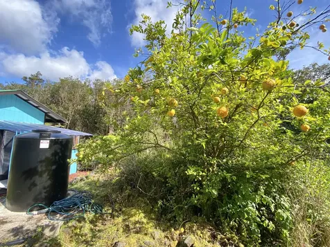 11-3141 Ala Kapena Volcano HI 96785