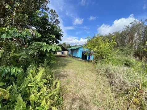 11-3141 Ala Kapena Volcano HI 96785