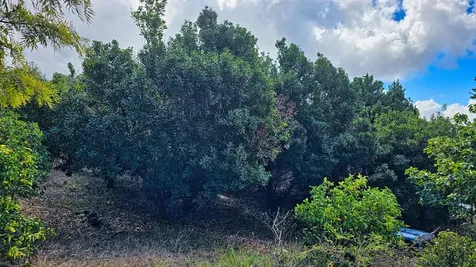 92-1750 Keaka Parkway Ocean View HI 96737