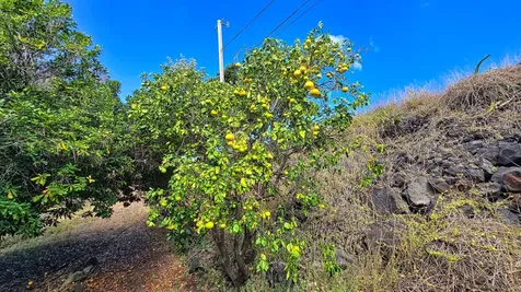 92-1750 Keaka Parkway Ocean View HI 96737