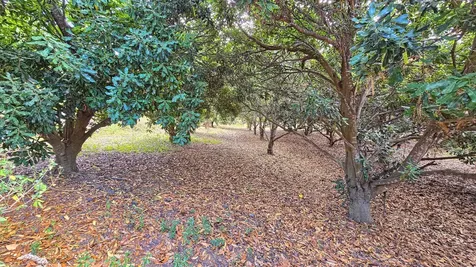 92-1750 Keaka Parkway Ocean View HI 96737