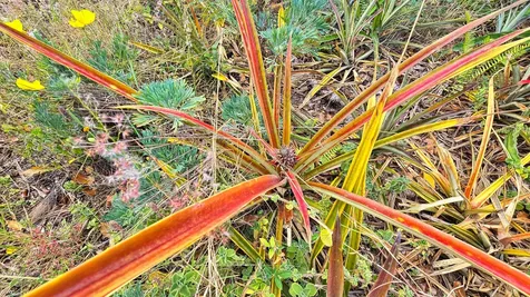 92-1750 Keaka Parkway Ocean View HI 96737