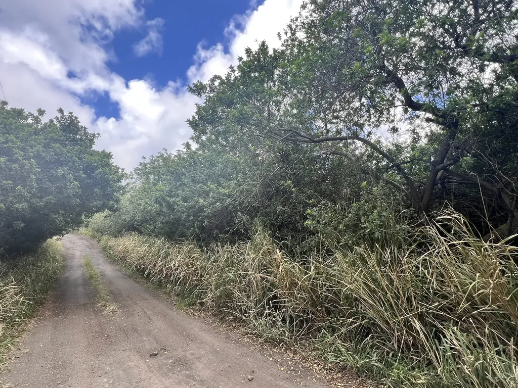 Kekuhaupio Road Naalehu HI 96772