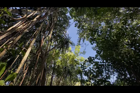 Kilika Road Keaau HI 96749