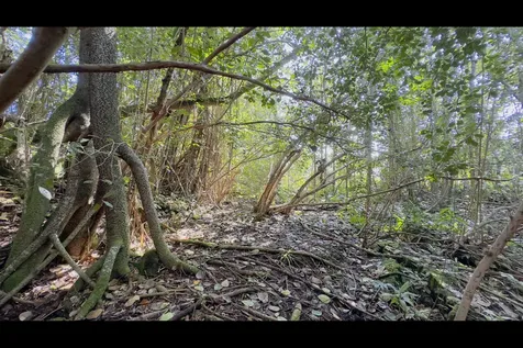 Kilika Road Keaau HI 96749