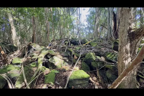 Kilika Road Keaau HI 96749