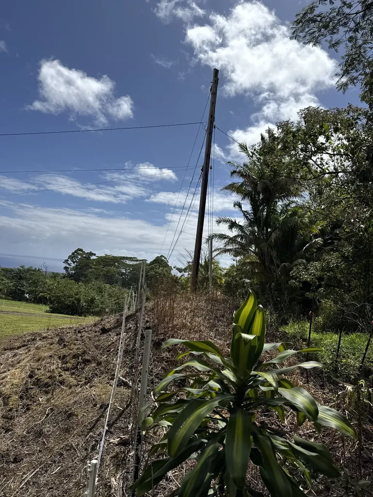Kaueleau Road Pahoa HI 96778