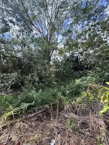 Kaueleau Road Pahoa HI 96778