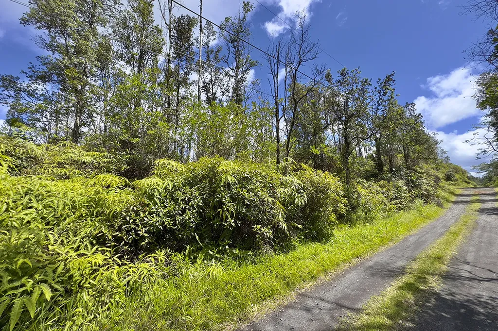 Kiele Street Kurtistown HI 96760