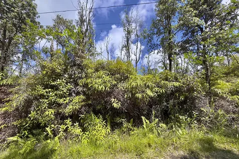 Kiele Street Kurtistown HI 96760