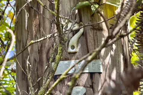 Kiele Street Kurtistown HI 96760