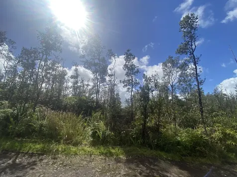 Road 6 (OOAA) Mountain View HI 96760