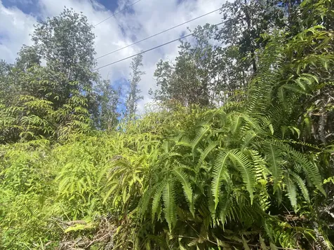 Road 6 (OOAA) Mountain View HI 96760