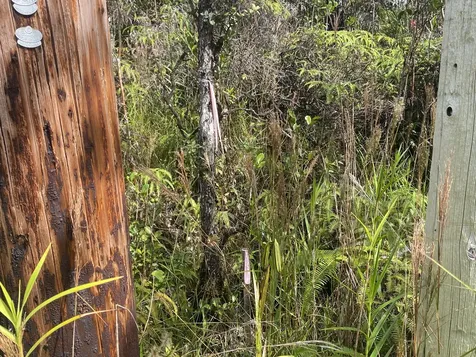 Road 6 (OOAA) Mountain View HI 96760