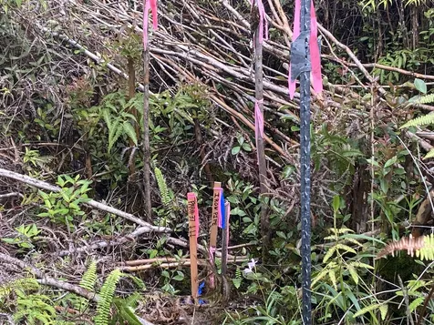 Road 6 (OOAA) Mountain View HI 96760