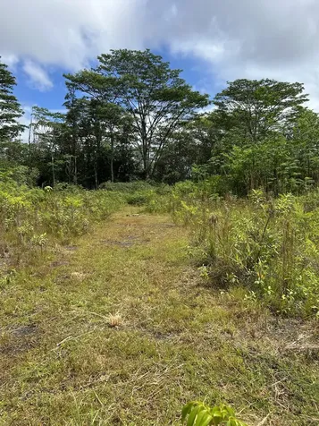 16-1889 36th Avenue Kurtistown HI 96760