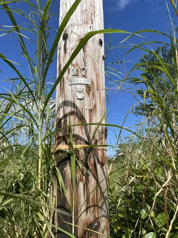 16-1889 36th Avenue Kurtistown HI 96760