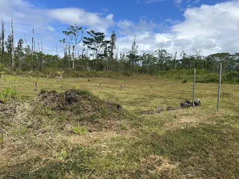 16-1889 36th Avenue Kurtistown HI 96760