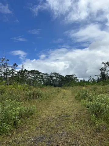 16-1889 36th Avenue Kurtistown HI 96760