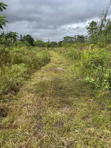 16-1889 36th Avenue Kurtistown HI 96760