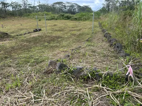 16-1889 36th Avenue Kurtistown HI 96760