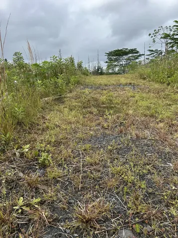 16-1889 36th Avenue Kurtistown HI 96760