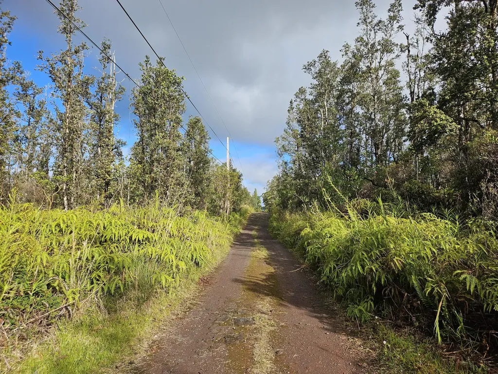 Road 4 (io Kea) Mountain View HI 96760
