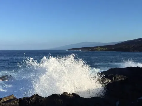 88-1978 Milolii Road Captain Cook HI 96704