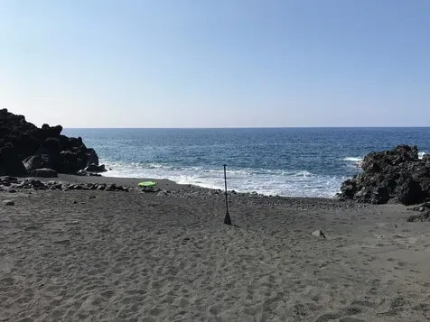 87-3395 Hawaii Belt Road Captain Cook HI 96704