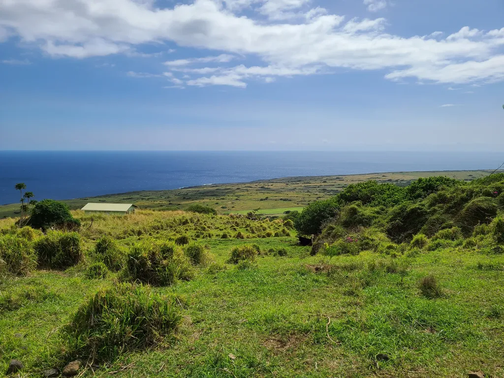 95-1406 Kaalaiki Road Naalehu HI 96772