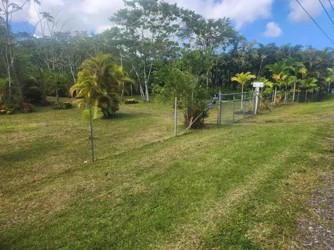 15-2064 26th Avenue Keaau HI 96749